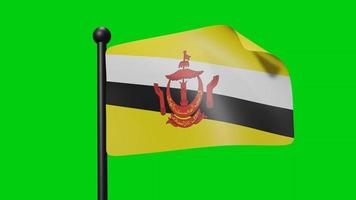 3d Flag Of  Brunei Waving In The Wind on Green Screen With Luma Matte video