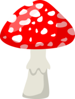cartoon wild mushroom. fungus png