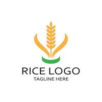 arrozal planta logotipo, arroz grano logo,arroz,natural orgánico la agricultura, para negocio,empresa,agricultura,producto,granja tienda,agrícola equipo,arroz almacén, con moderno minimalista vector