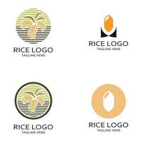 Paddy plant logo,rice grain logo,rice,natural organic farming,for business,company,agriculture,product,farm shop,agricultural equipment,rice warehouse,with modern minimalist vector