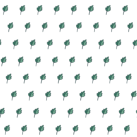 Green leaves pattern on transparent background. png