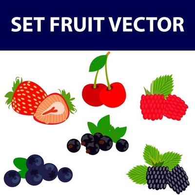 Forest berry. Sweet fruit. Realistic illustration. 3d vector icon set