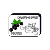 How to draw blueberries vector illustration. Draw blueberry step by step. Blueberry drawing guide. Cute and easy drawing guidebook.