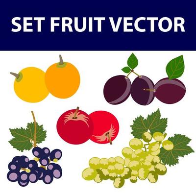 Set of fruits and berries, glossy cartoon vector illustration