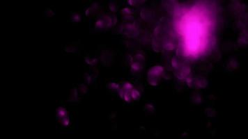 de rörelse av de rosa bokeh lampor för jul ,dansa fest ,abstrakt glöd rörelse bakgrund video
