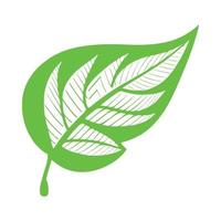 logotipo de icono de hoja vector