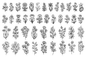 Line art hand drawn, doodle flower designs. Big floral set with thin line flowers. You can use this design for printing, web, decorating in different compositions, postcards, invitations and so on. vector