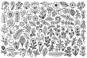 Line art nature elements set. Collection of forest design elements as mushrooms, plants, herbs, flowers, branches, leaves, acorns in line art doodle style. vector