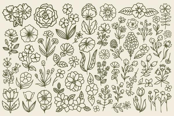 Line art drawn floral set. Hand drawn, doodle style vector flowers with thin line. Outline decorative floral bundle.