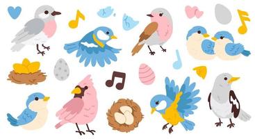 set of doodle birds and eggs vector