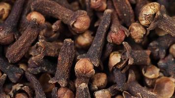 Freshly dryed clove spice texture close up video