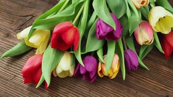 Colorful tulips on wooden table video