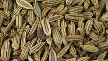 Dried fennel seeds pile close up video