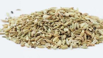 Dried fennel seeds on white background video