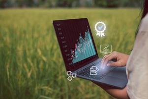 smart farmer and technology concept, woman using computer laptop working in rice field background, farm management, smart agricultural, top productivity, data analysis in rice crop harvesting. photo