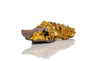 Macro mineral stone yellow Wulfenite on a white background photo