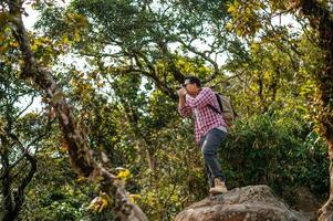 Young backpacker man use camera to take pictures in forest. photo