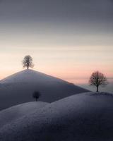 White snow hills landscape on each hill stands a tree photo