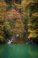 a small lake at a forest in autumn photo