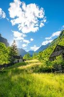 Green meadow with blue sky and small old houses photo