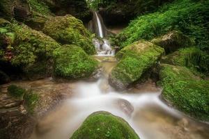 A small stream whose stones are covered with moss. photo