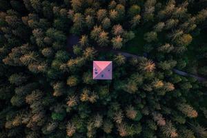 un Estar atento torre en el medio de el bosque foto