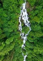 A waterfall surrounded by green plants photo
