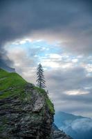 A lonely tree stands on a cliff under cloudy sky photo