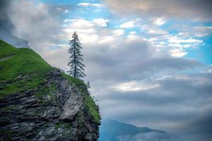 A lonely tree stands on a cliff under cloudy sky photo