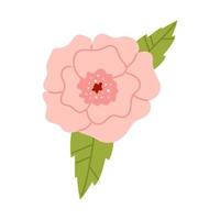 Vector delicate flower in soft pink color. Peony or rose in flat design. Elegant blossom flower with leaves.