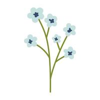 Vector illustration of plant with little flowers in flat design. Light blue chamomile, forget-me-not or other flowers. Blossom flowers in blue color. Spring botanical illustration.