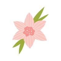 Vector soft striped flower with stamens. Elegance pink lily in flat design. Delicate blossom lily flower in soft pink color. Bouquet. Botanical illustration.