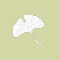 Ginkgo Biloba, delicate plant twig, outline isolated vector illustration.