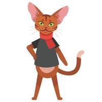 Abyssinian animal illustration vector