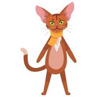 Abyssinian animal illustration vector