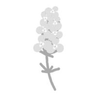 An abstract grayscale image of flowering phlox. Sticker. icon. Isolate. Hello spring. Summer season vector