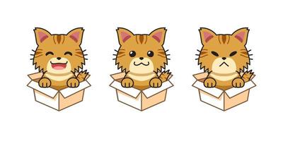 conjunto de ilustración de dibujos animados vectoriales de gato atigrado que muestra diferentes emociones en cajas de cartón vector