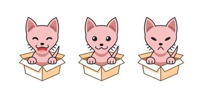 Vector cartoon illustration set of sphynx cat showing different emotions in cardboard boxes