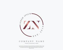 Initial letter ZN Feminine logo beauty monogram and elegant logo design, handwriting logo of initial signature, wedding, fashion, floral and botanical with creative template vector