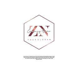 Initial letter ZN Feminine logo beauty monogram and elegant logo design, handwriting logo of initial signature, wedding, fashion, floral and botanical with creative template vector