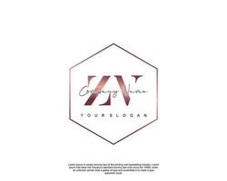 Initial letter ZV Feminine logo beauty monogram and elegant logo design, handwriting logo of initial signature, wedding, fashion, floral and botanical with creative template vector