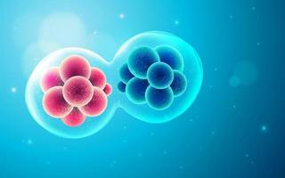 cell division scene vector
