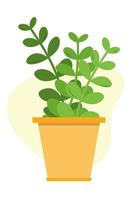 Cartoon succulent on white background. Succulent in a pot. Home plant for interior decoration. Vector illustration.