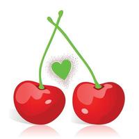 Two red cherries and heart. A vector illustration