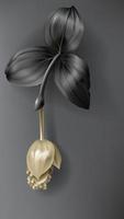 Tropical black and gold medinilla flower on dark vector