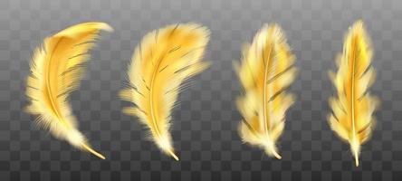 Golden yellow fluffy feather vector realistic