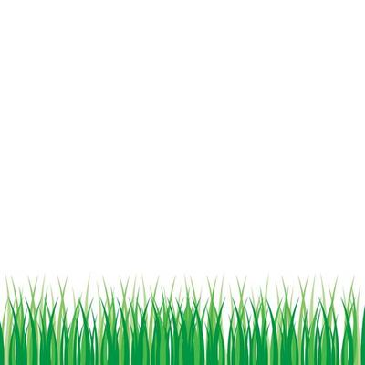 Vector green grass illustration