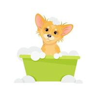 The dog sits in a bowl with soap bubbles and washes vector