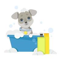 Gray dog sits in a bowl of soap bubbles vector