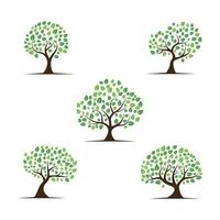 Logos of green Tree leaf ecology vector